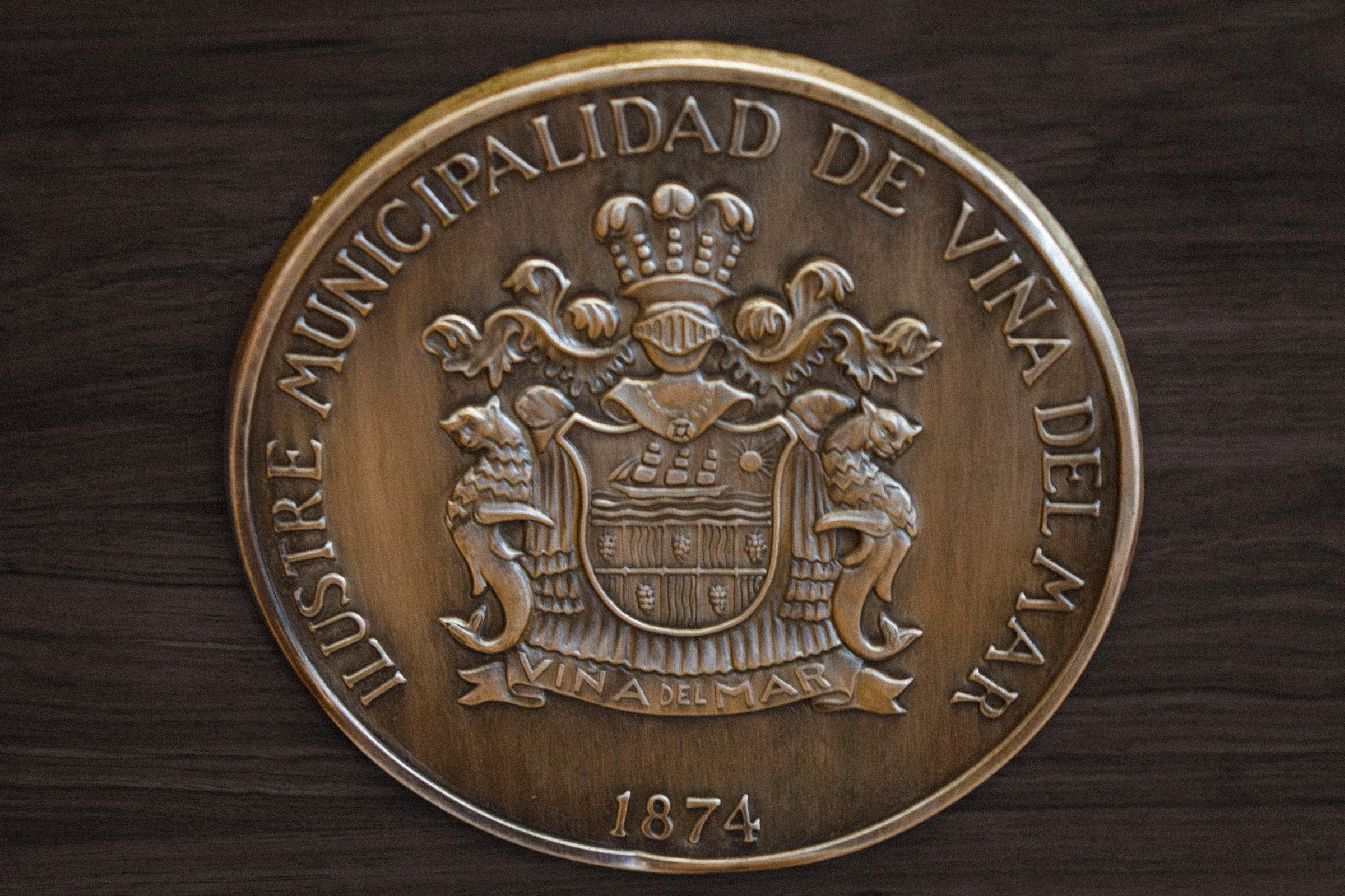 Logo Municipalidad de Viña del Mar