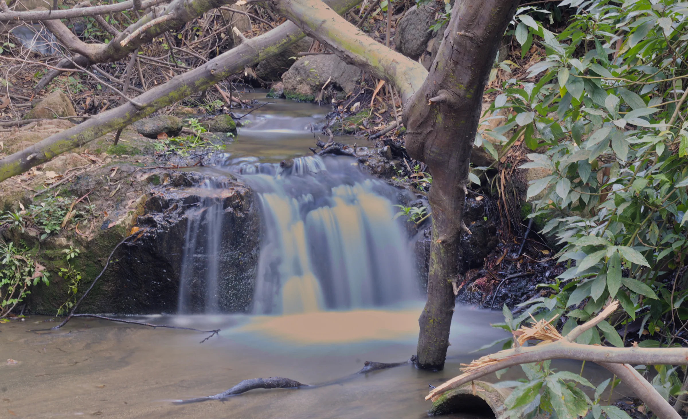 Cascada en velo