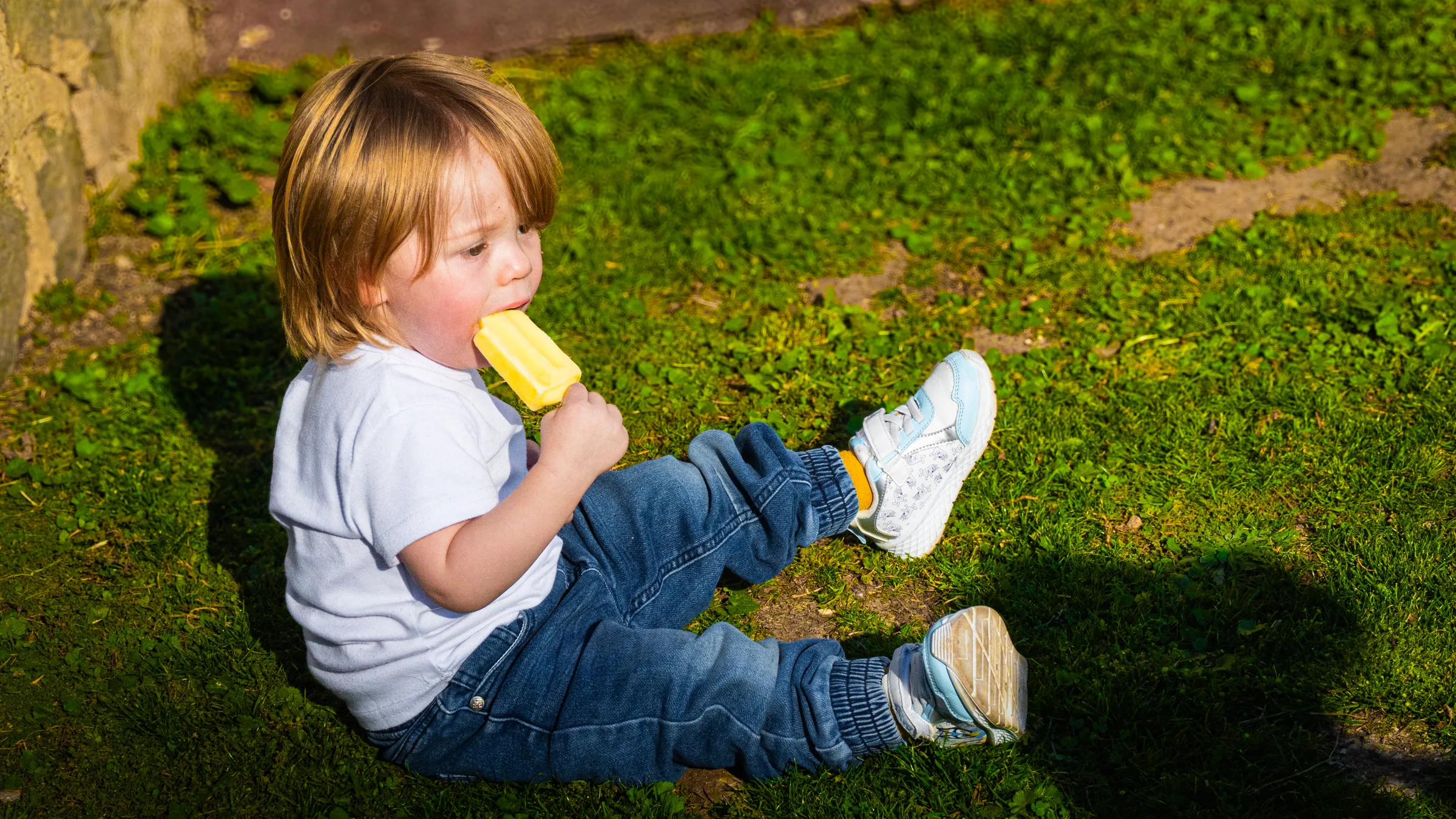Helado en el pasto