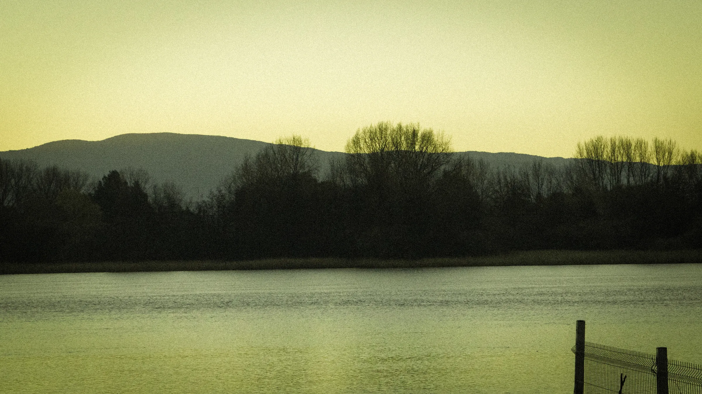 Atardecer sobre el humedal