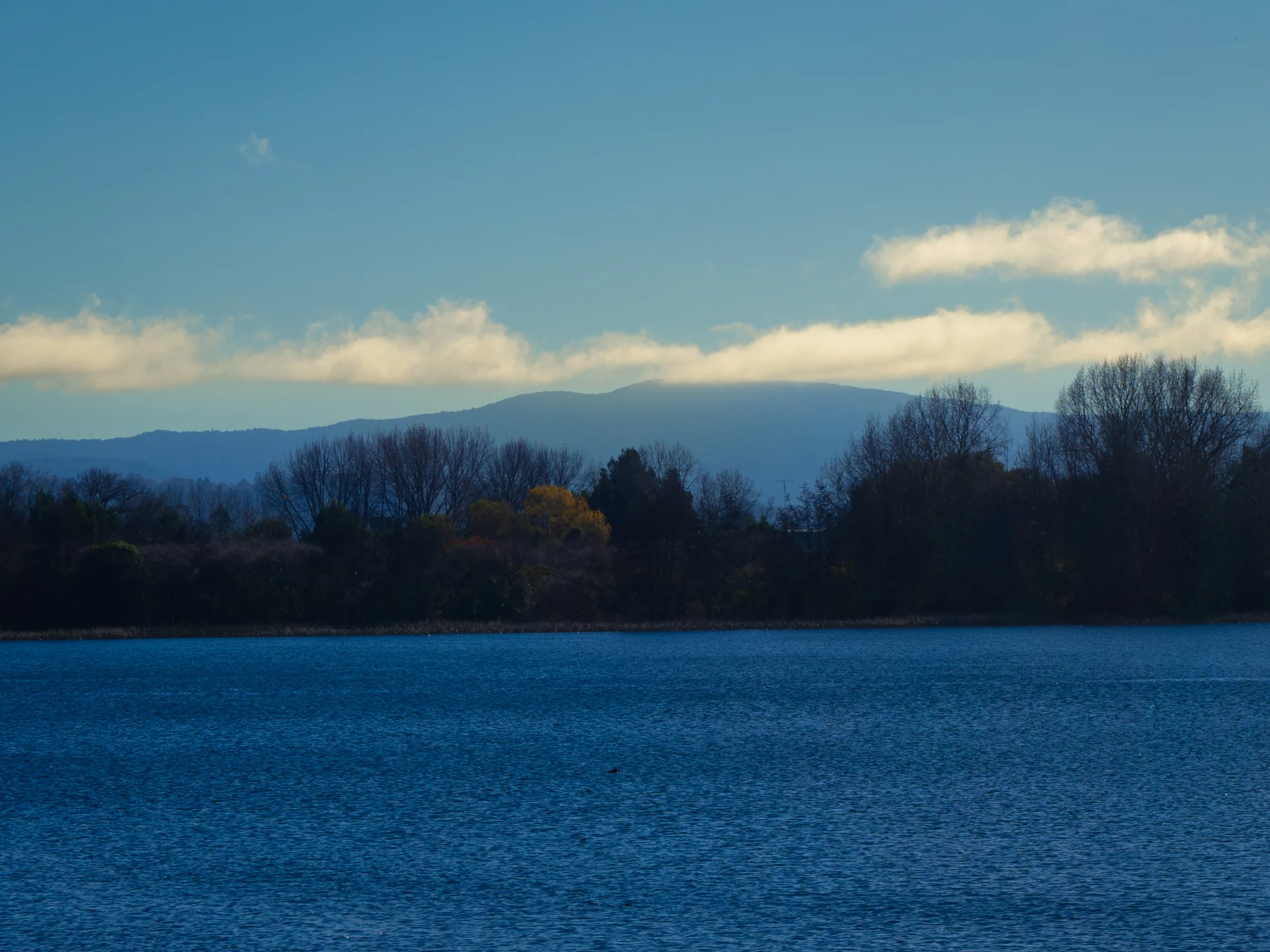 Panorámica del humedal