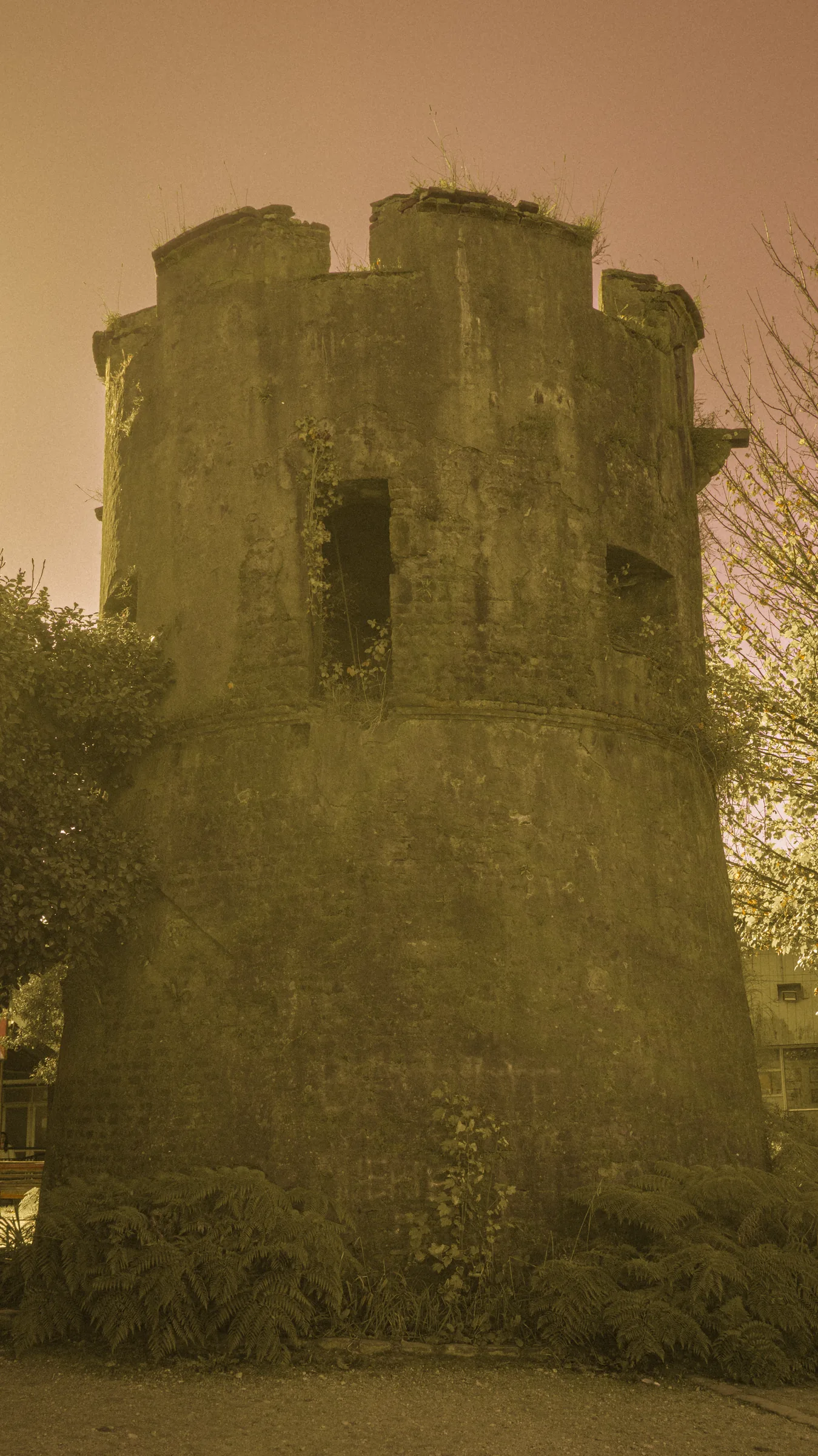 Torreón de los Canelos