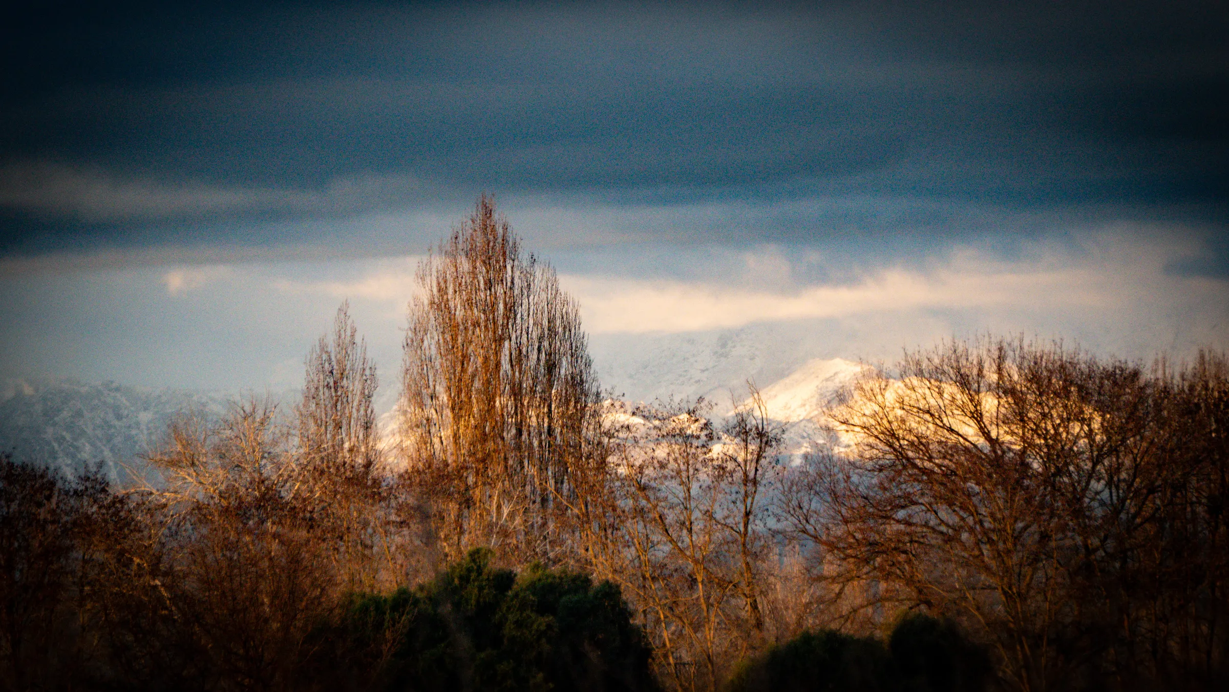 Árboles dorados y montañas nevadas