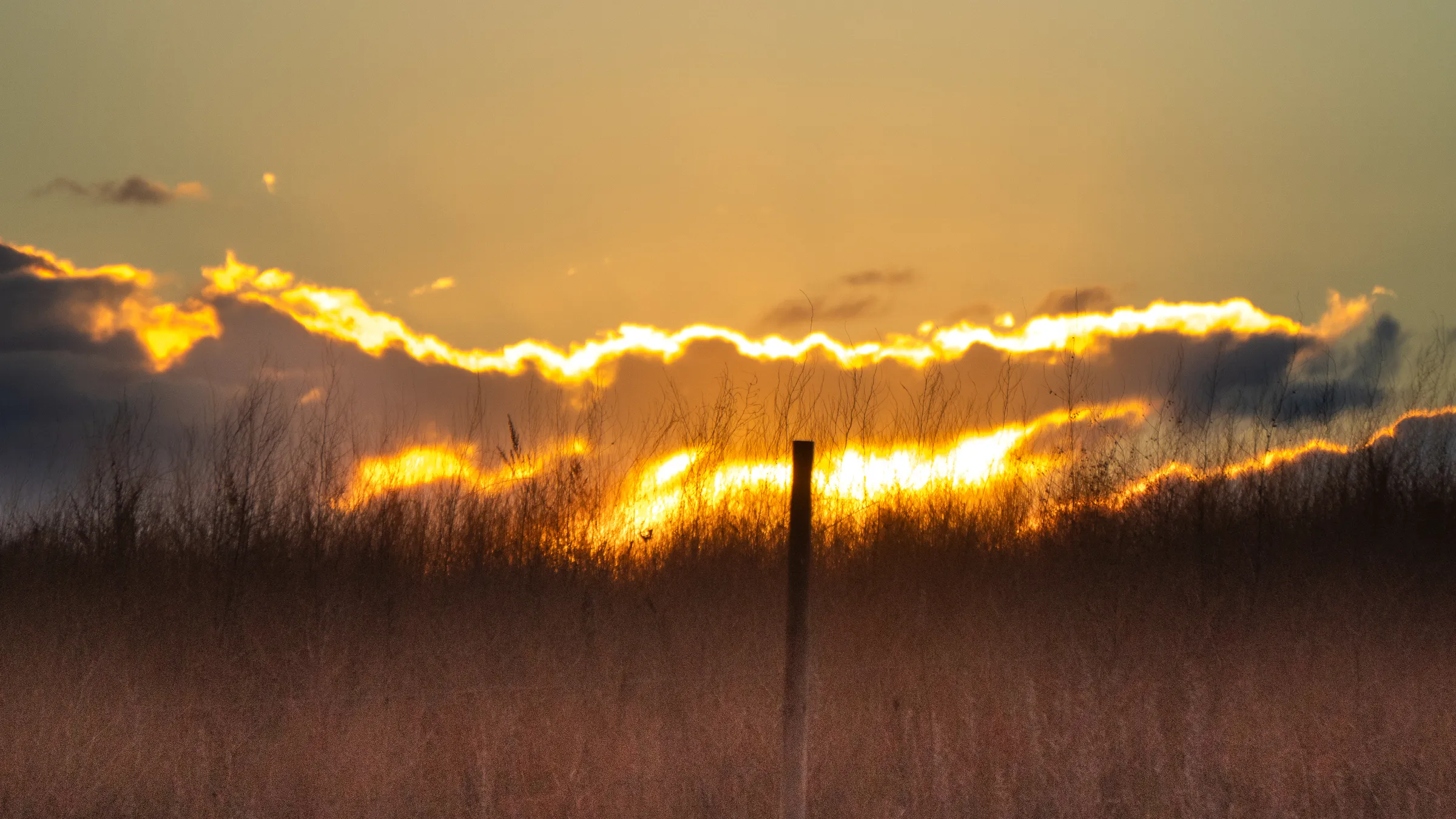Atardecer sobre el humedal