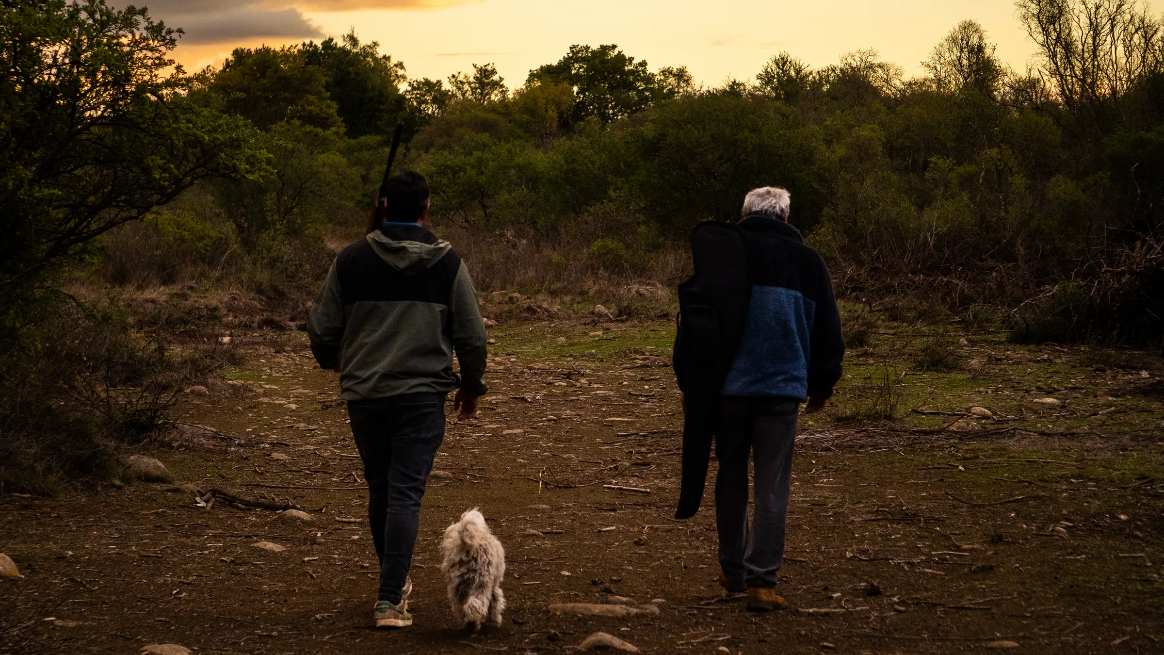 Caminata al atardecer