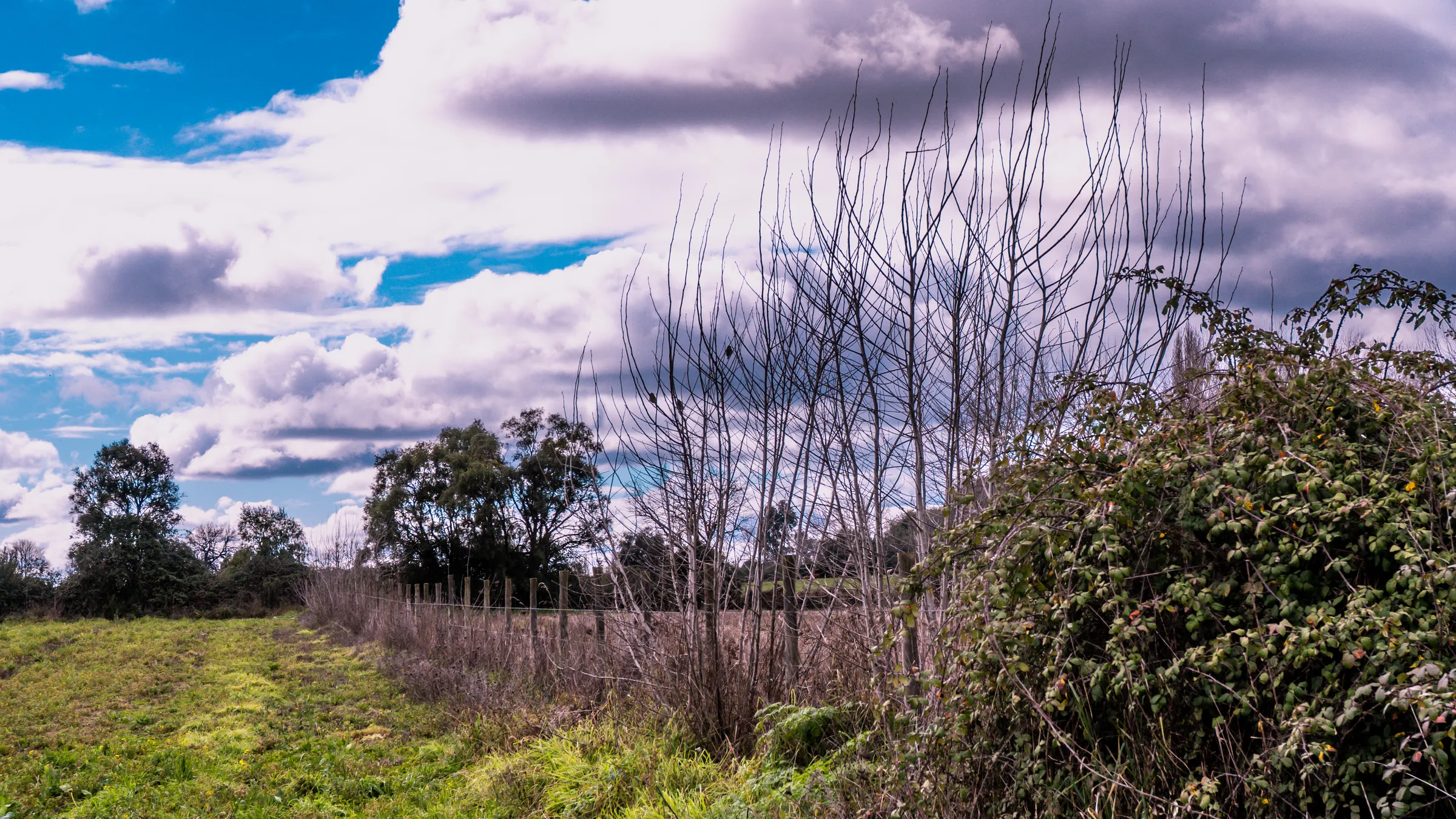 Campo bajo nubes de invierno
