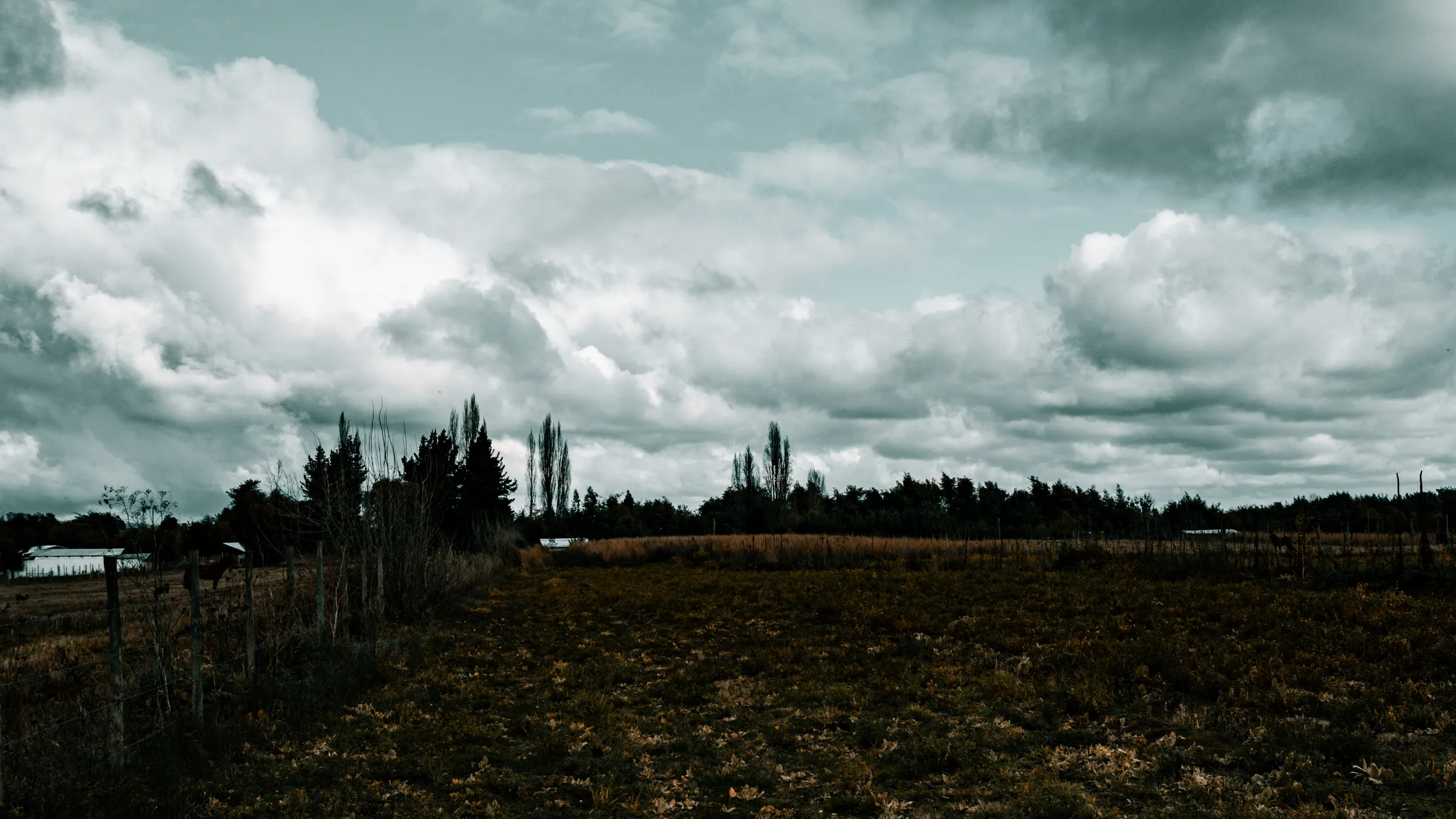 Cielo tormentoso sobre el campo