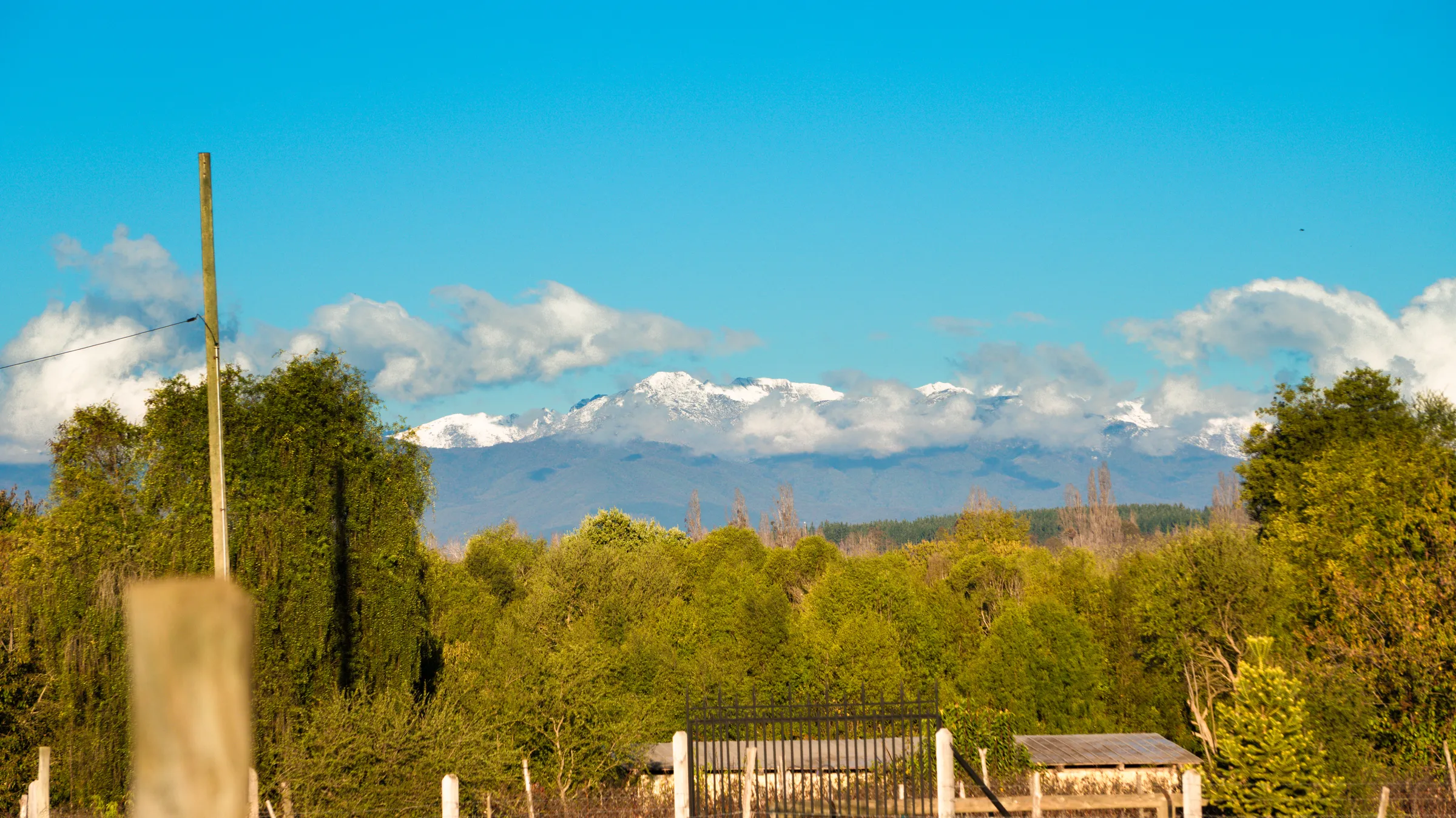 Cordillera nevada desde el campo