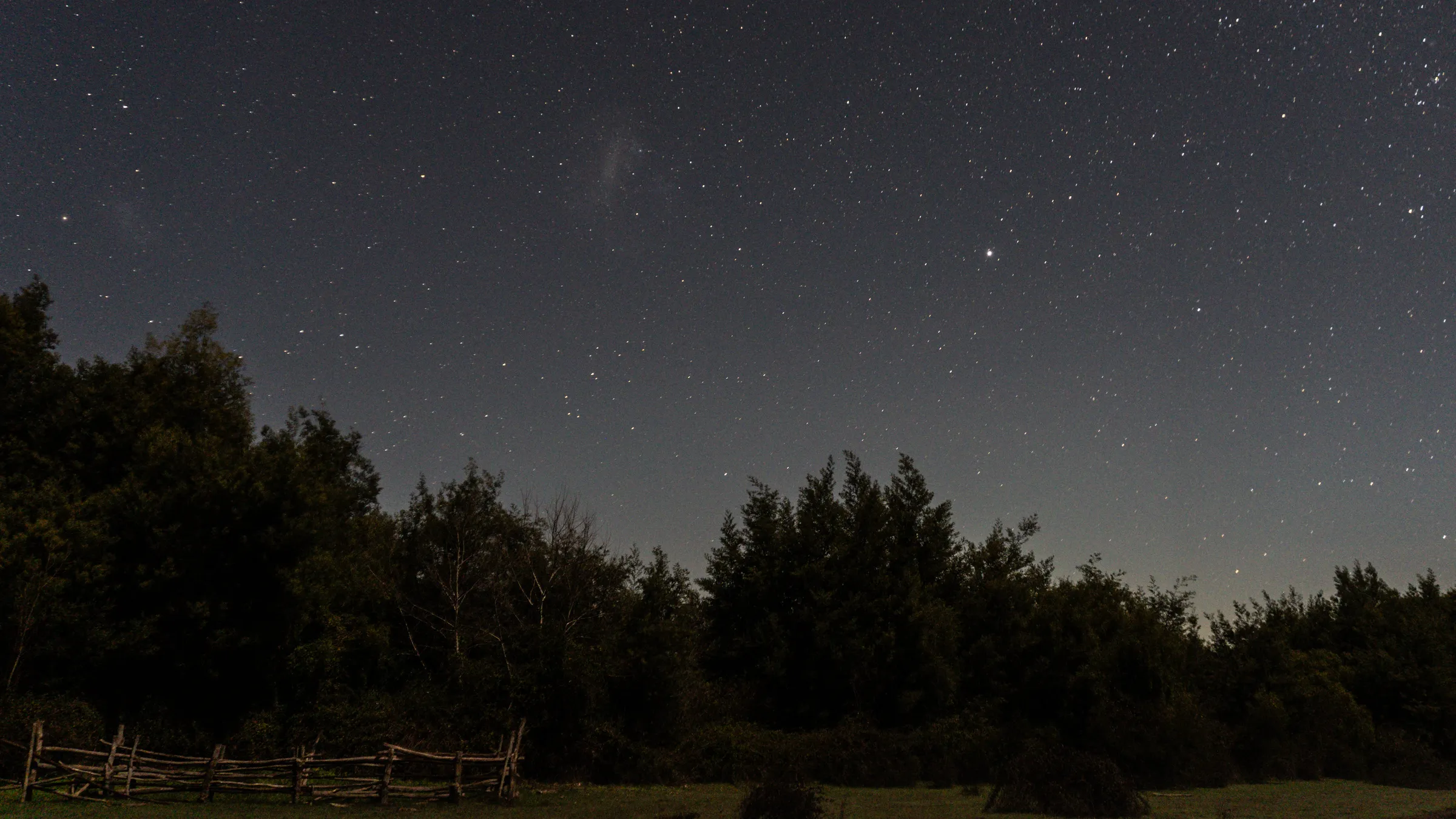 Noche estrellada sobre el bosque