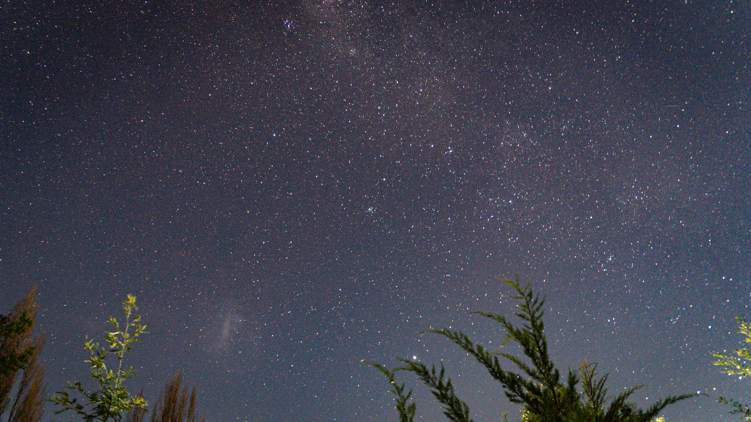 Noche estrellada sobre los árboles
