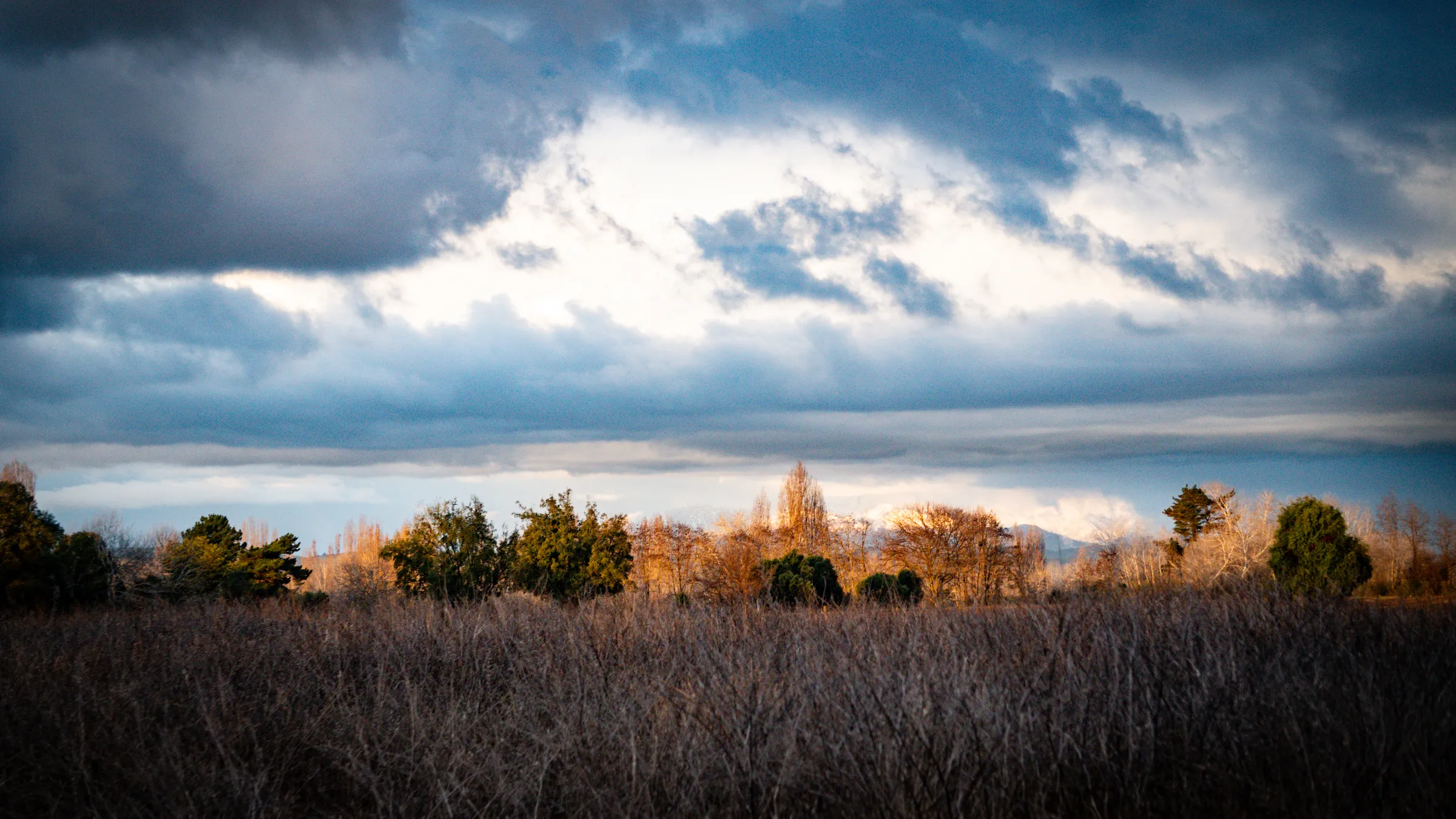 Nubes sobre el humedal