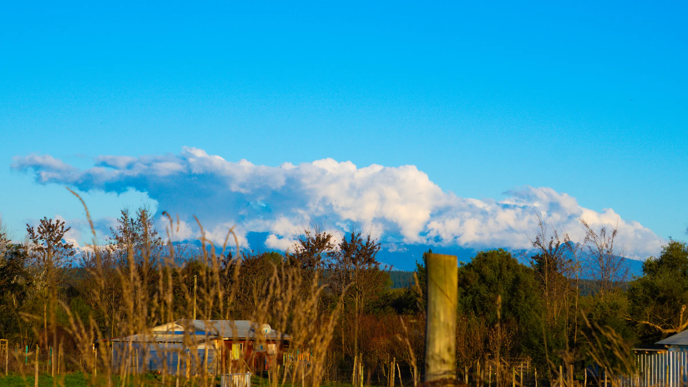 Pastos y cielo de la tarde
