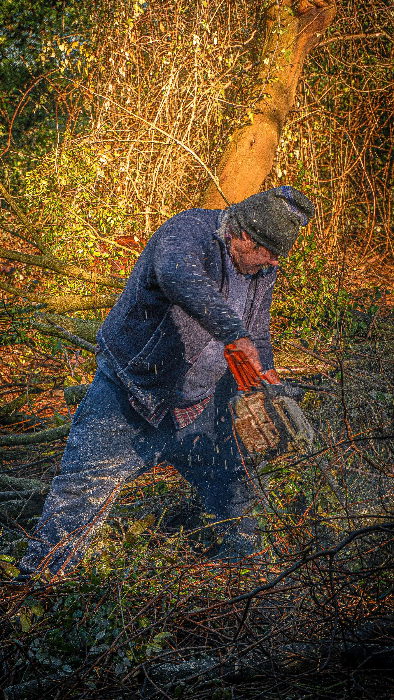 Trabajo en el campo