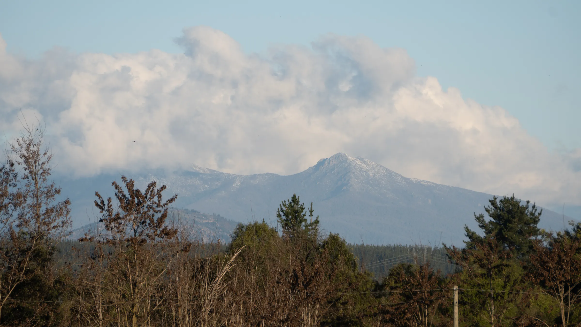 Volcán nevado sobre el bosque