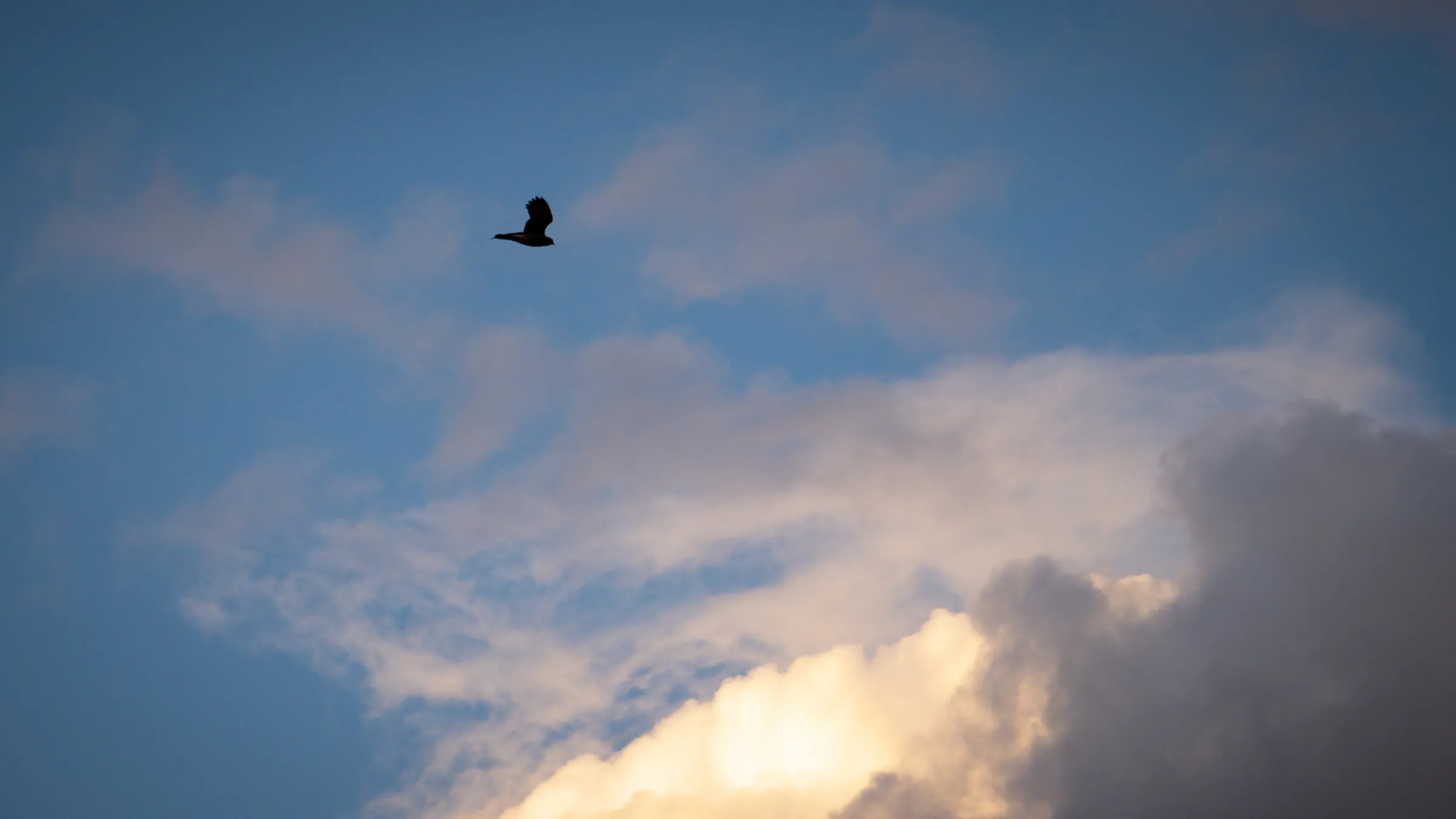 Vuelo entre nubes