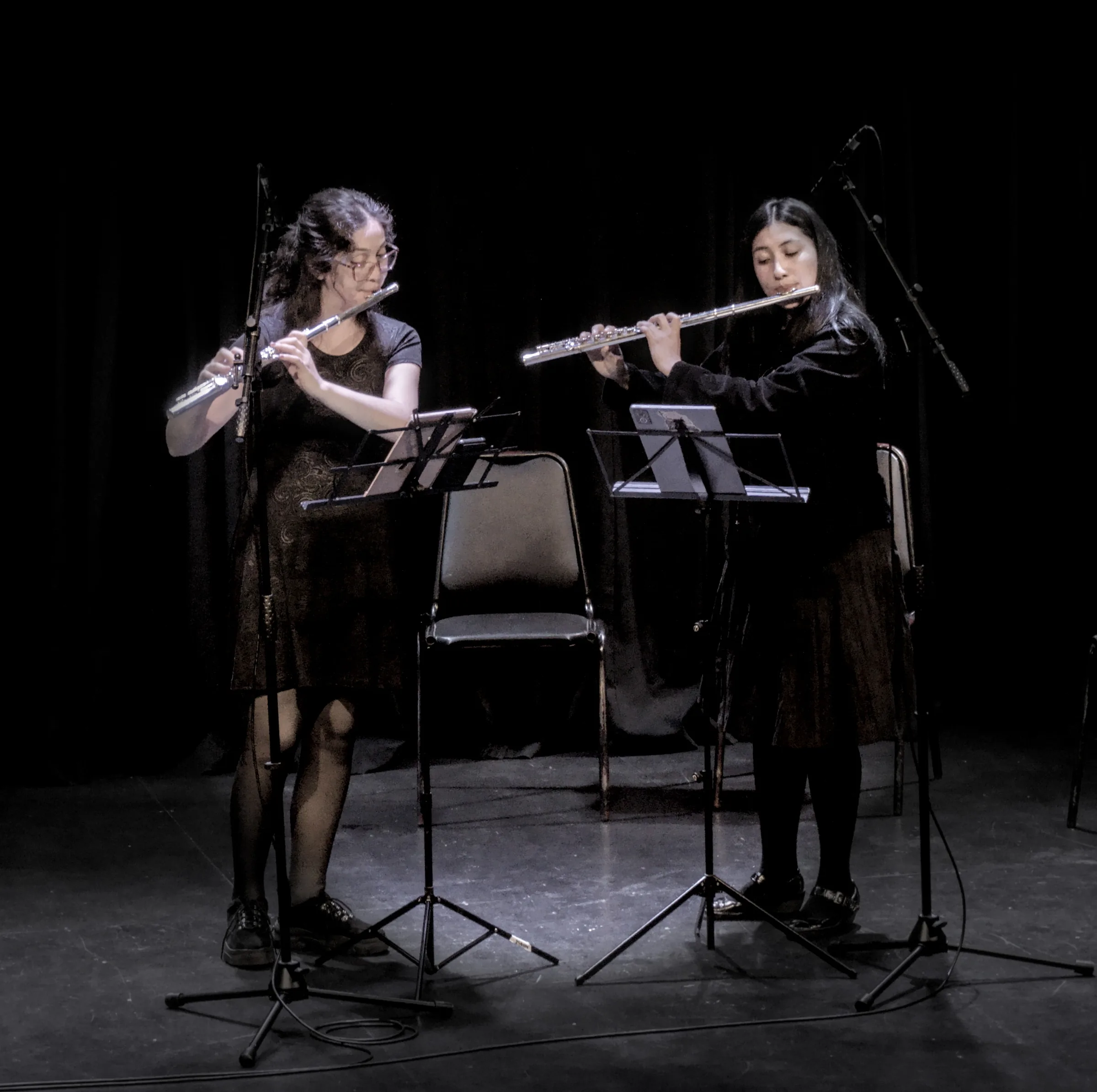 Duo de Flautas