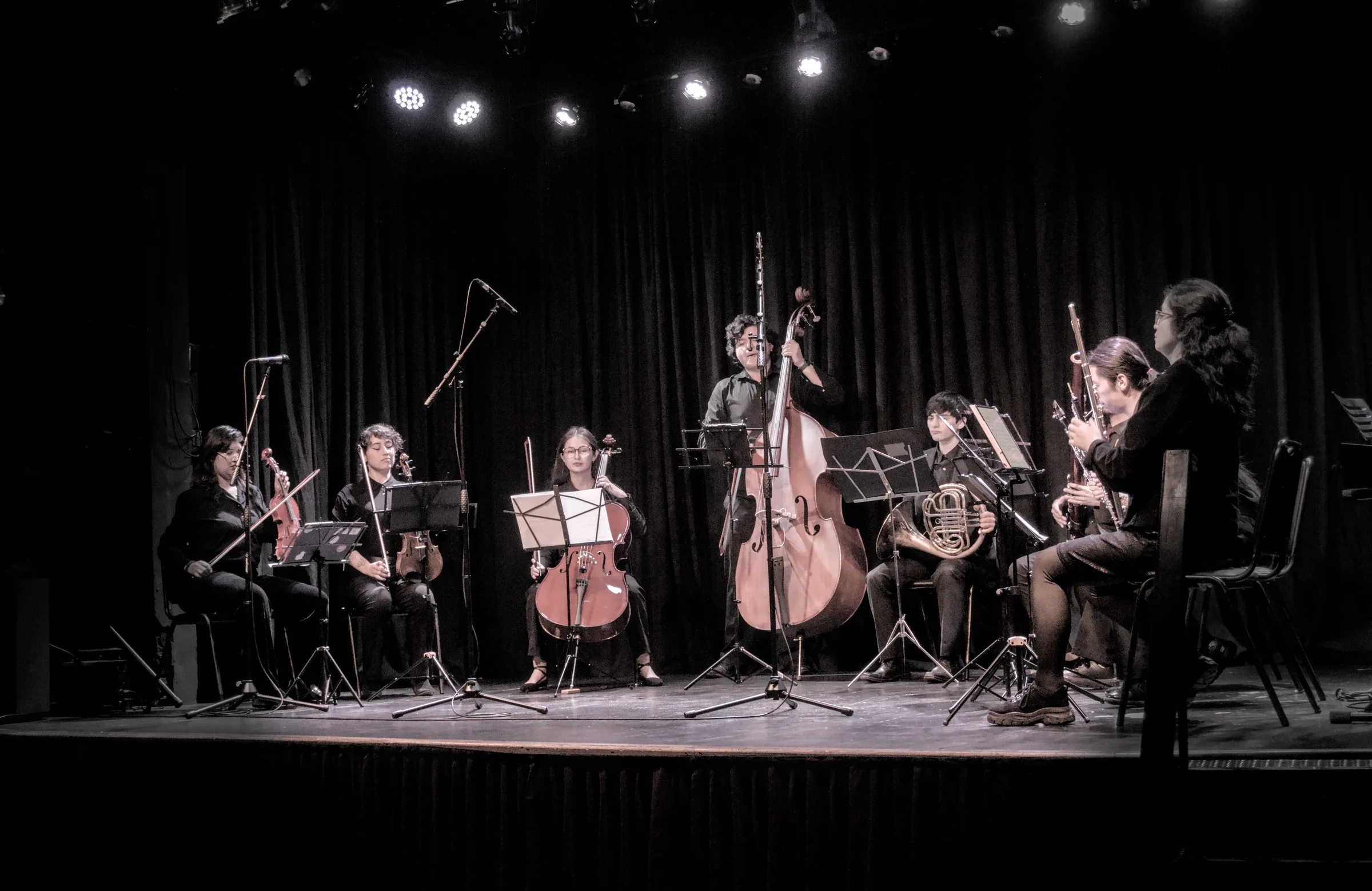 Noneto Orquesta Alimapu