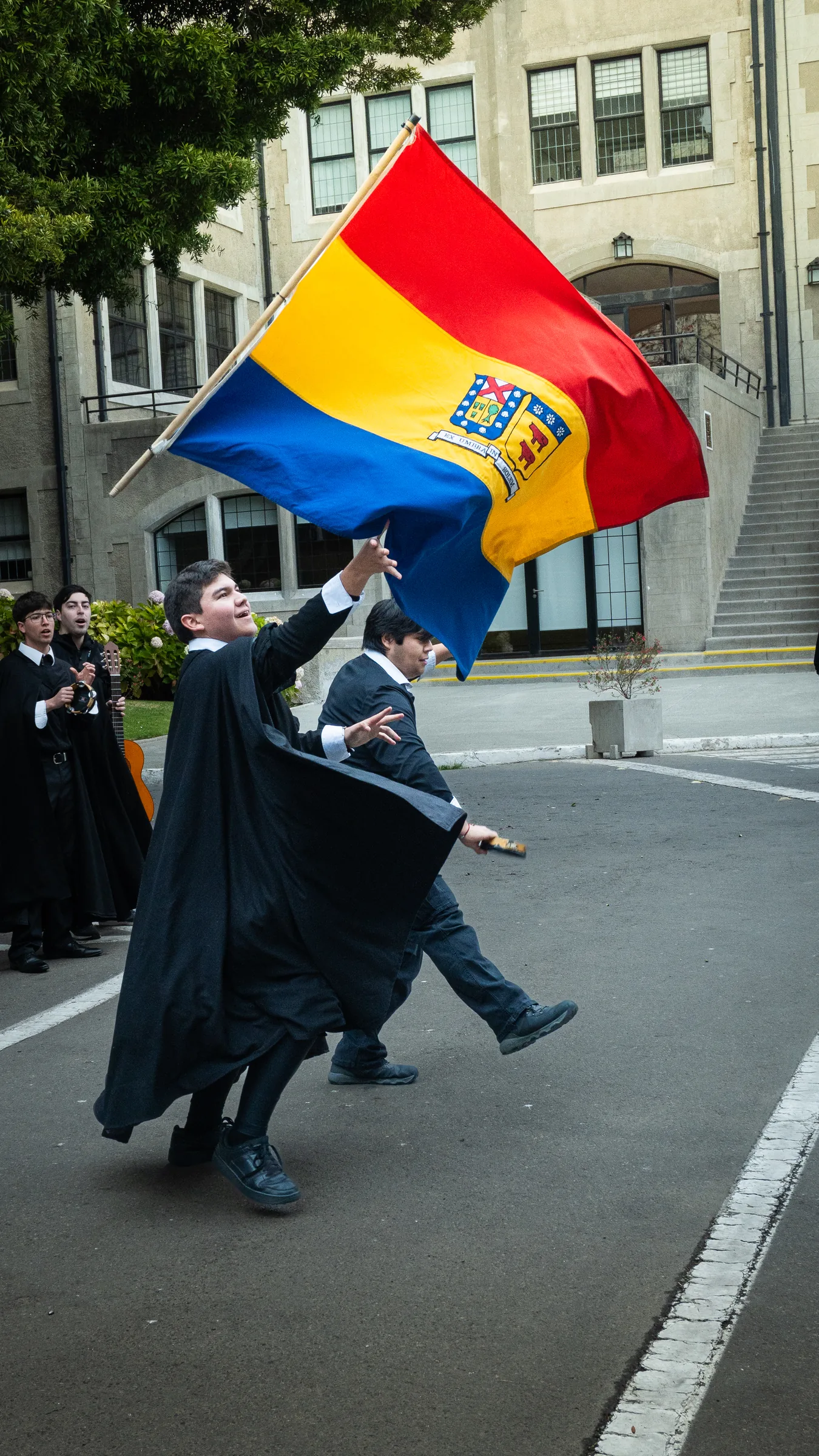 Bandera en el aire