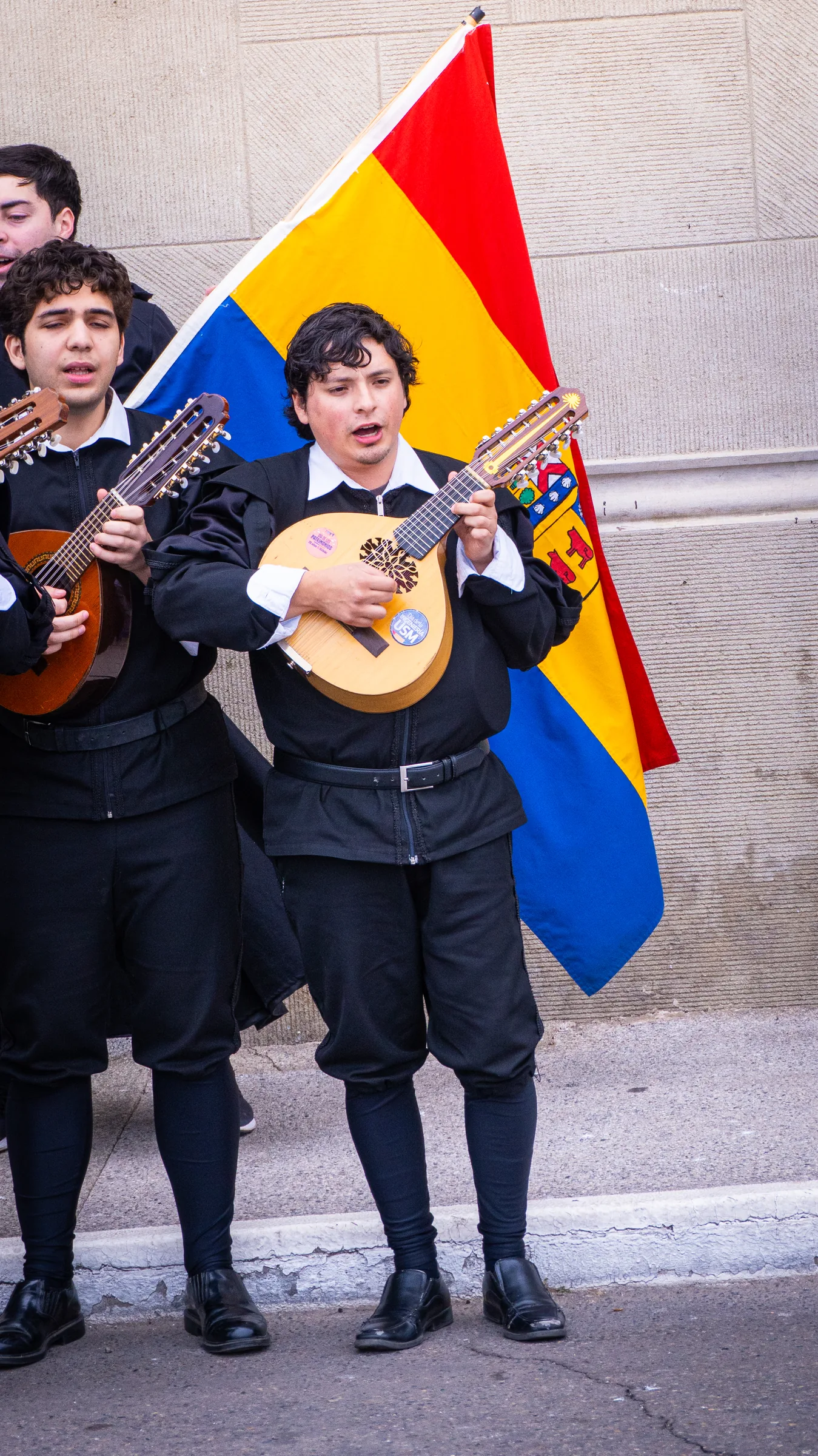 Voz y bandurria